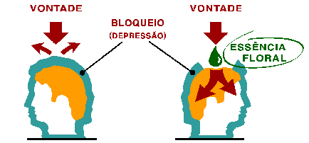 Gráfico de apresentação